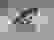 item-53519697=3