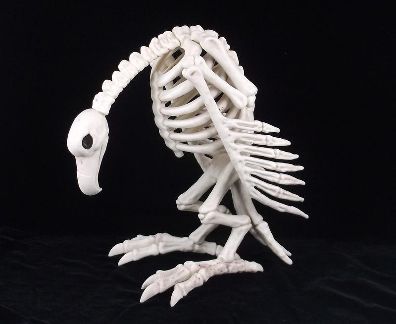 Mint Faux Vulture Skeleton Life Size Halloween (1 of 3)
