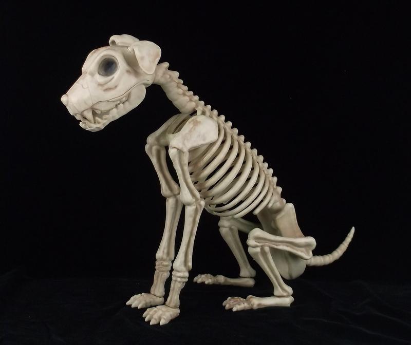 Mint Faux Dog Skeleton Life Size Halloween (1 of 4)