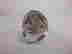 item-117330426=3