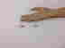 item-129329833=2