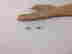 item-129329849=2