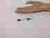 item-129329889=2