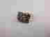 item-129330051=2