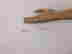 item-131391596=2