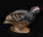 item-131906237=2