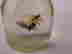 item-131906256=4