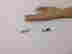 item-131906264=2