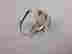 item-131906436=2