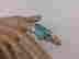 item-131906562=4