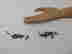 item-134317292=2
