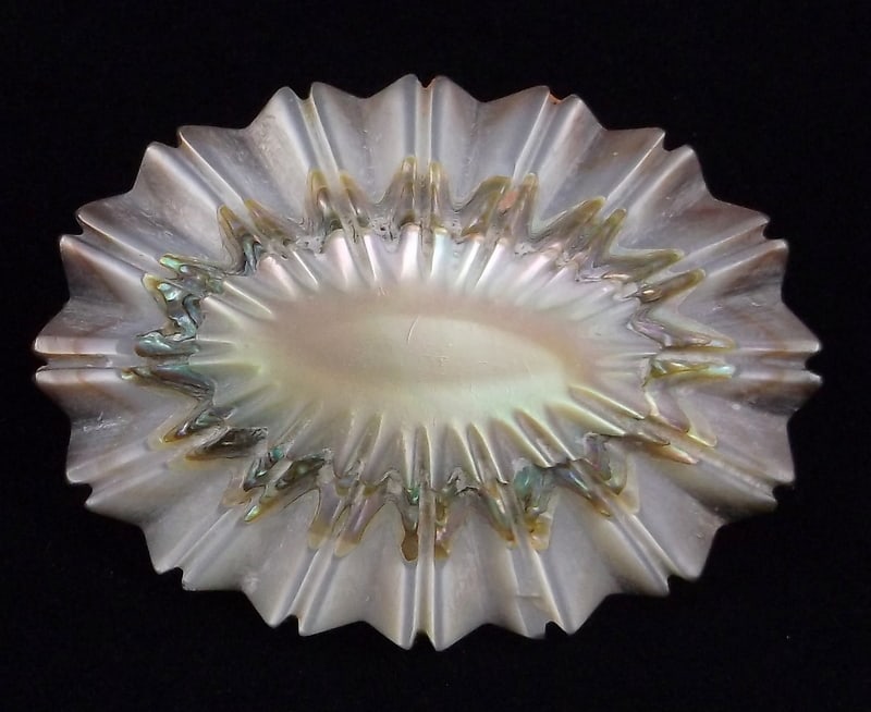 Mint Vint 1920s Art Deco Abalone Shell Brooch Stunning (1 of 3)