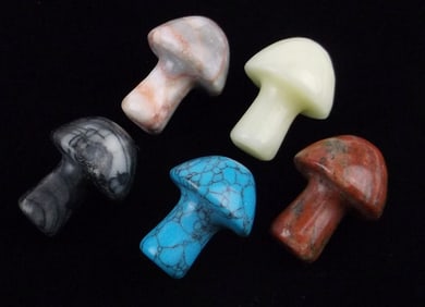 5 Healing Gemstone Mushrooms Lot Turquoise Jasper More