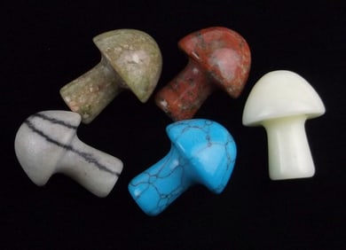 5 Genuine Heling Gemstone Mushrooms Turquoise Jasper