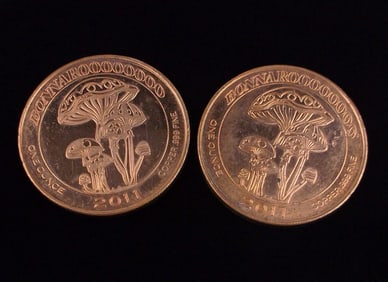 2 2011 Bonnaroo 1 oz .999 Fine Copper Coins Rounds