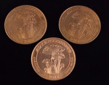 3 2011 Bonnaroo 1 oz .999 Fine Copper Coins Rounds