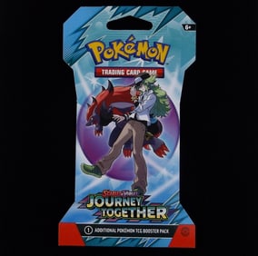 New Sealed Journey Together Pokemon TCG Pack
