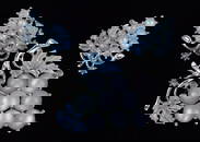 Mint Designer 1950s Jelly Belly Rhinestone Grape Brooch Earrings