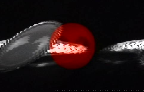 New Sterling Silver Red Coral Ring 8: Solid Sterling Silver Guaranteed, in Brand New Never Worn Condition.