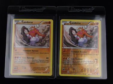 Mint 2013 Pokemon Landorus Rare Holo Reverse Holo Lot