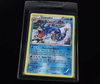 Mint 2015 Pokemon Gyarados Rare Holo Berserker