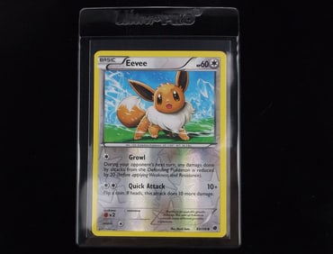 Mint 2013 Pokemon Eevee Holo Card Growl