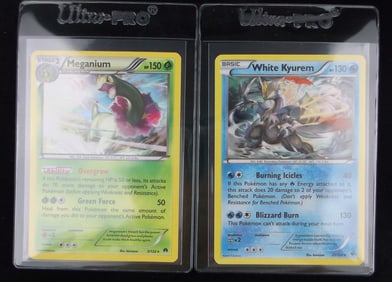 Mint 2016 Pokemon White Kyurem Meganium Rare Holo Lot