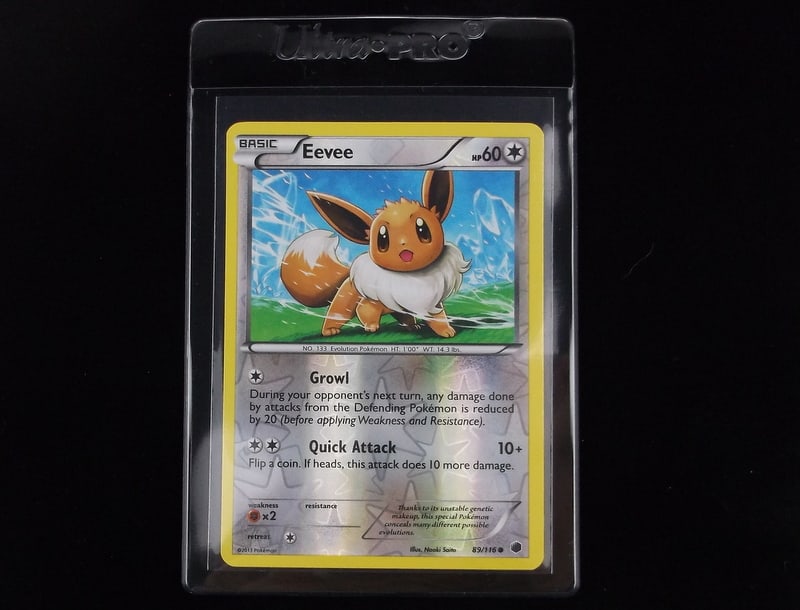Mint 2013 Pokemon Eevee Holo Card Growl (1 of 2)