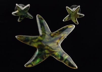 Stunning Vintage Abalone Starfish Brooch Earrings Set
