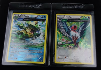 NM-M 2015 Pokemon Swellow Ludicola Full Art Rare Holo