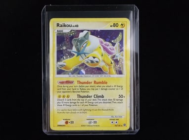 2007 Pokemon Raikou LV42 Rare Holo Thunder Rumble