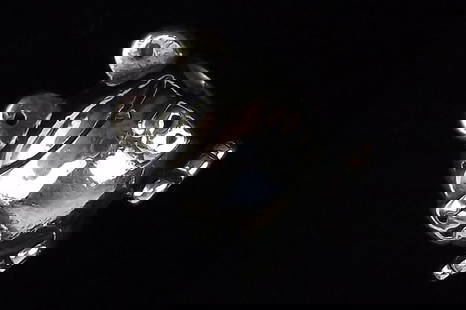 Mint Vintage Pandora Sterling Silver Frog Charm Bead: Guaranteed Solid 925 Sterling Silver, in Excellent Condition