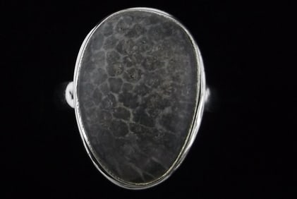 New Big Sterling Silver Ancient Fossilized Black Coral Ring 7.5 Designer