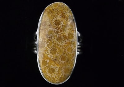 New Big Designer Sterling Silver Ancient Fossilized Coral Ring 8