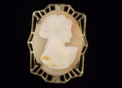 Mint 1920s Art Deco Hand Carved Shell Cameo Brooch