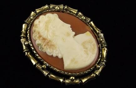 Big Gorgeous Vintage 1950s Celluloid Cameo Brooch