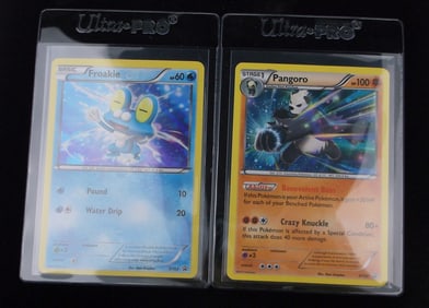 NM-M 2013-15 Pokemon Pangoro Froakie Black Star Promo Holos