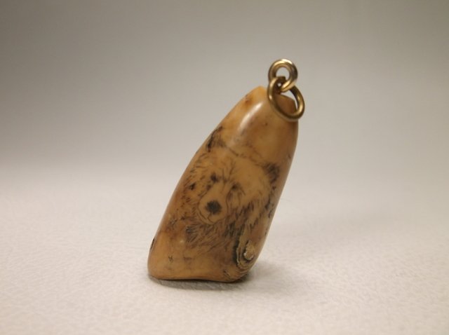 Gorgeous Grizzly Bear Scrimshaw Pendant: Very Nice, genuine Scrimshaw pendant