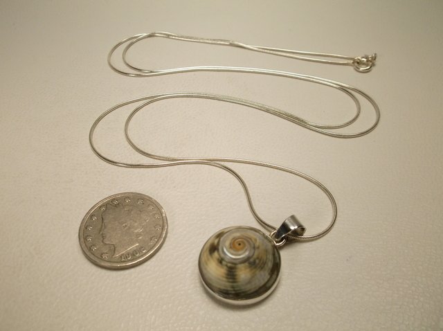 Beautiful Sterling Silver Abalone Necklace 30" Chain: .