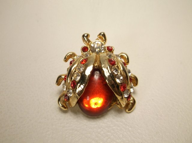 Beautiful Vintage Insect Brooch (1 of 1)