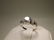 Stunning Sterling Silver CZ Ring 9 Engagement