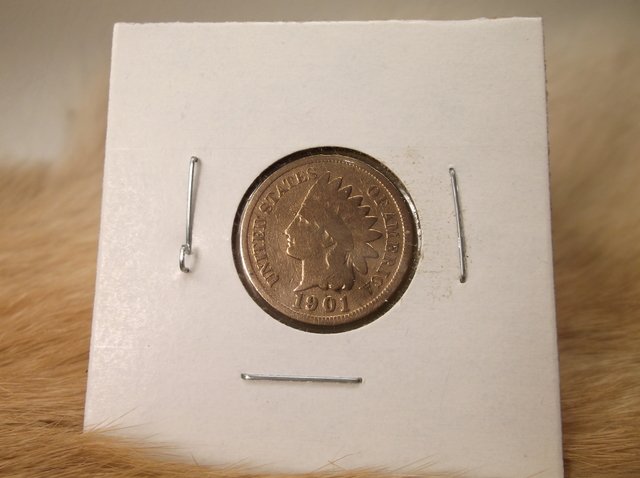 1901 US Indian Head Penny (1 of 1)