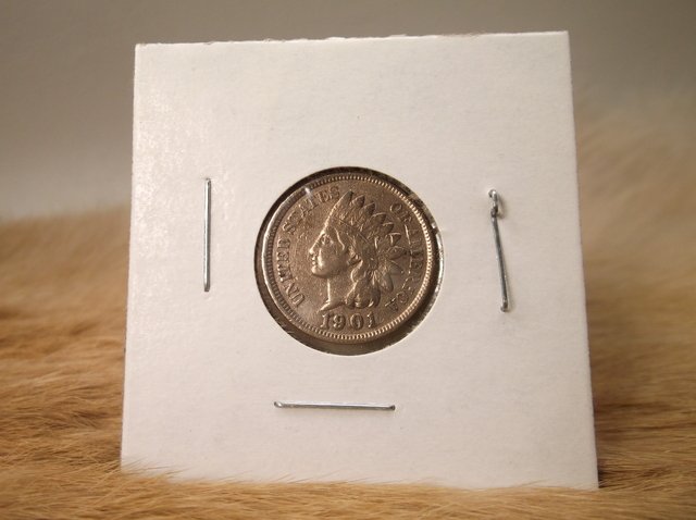 1901 US Indian Head Penny (1 of 1)