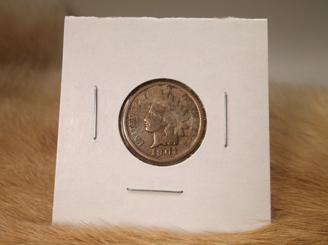 1901 US Indian Head Penny (1 of 1)