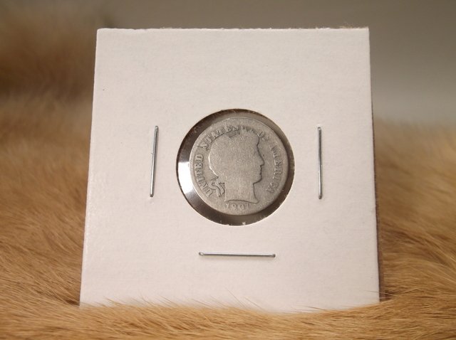 1901 US Silver Barber Dime (1 of 1)