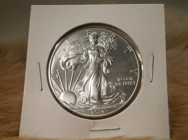 Uncirc 2014 US Silver Eagle Coin (1 of 1)