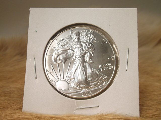 Uncirc 2014 US Silver Eagle Coin (1 of 1)