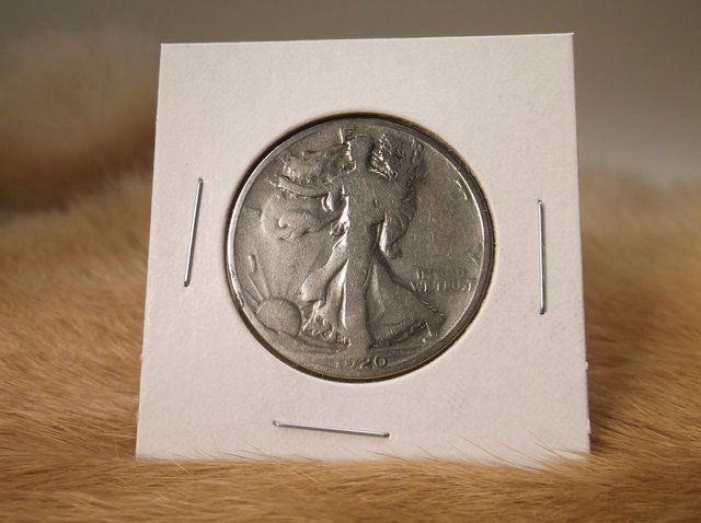 1920 US Silver Walking Liberty Half Dollar (1 of 1)