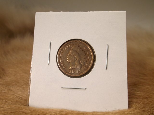 1901 US Indian Head Penny (1 of 1)