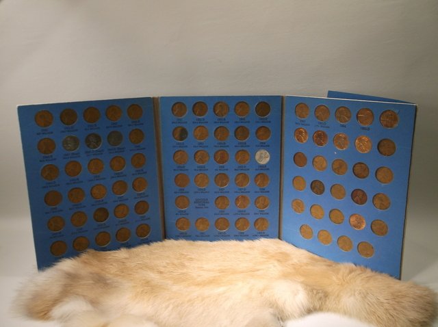 Large Old US Penny Collection in Folder (1 of 2)